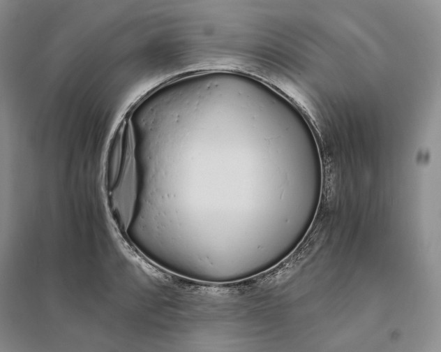 X0000094081088200711091209