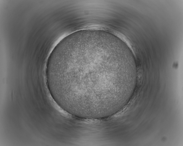 X0000094081091200711091209