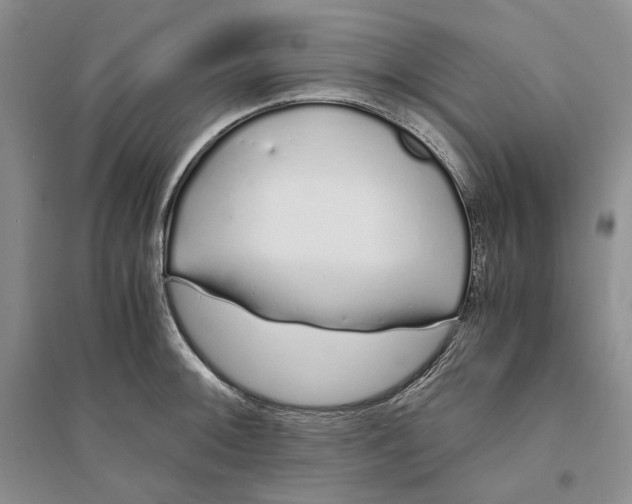 X0000094081092200711091209