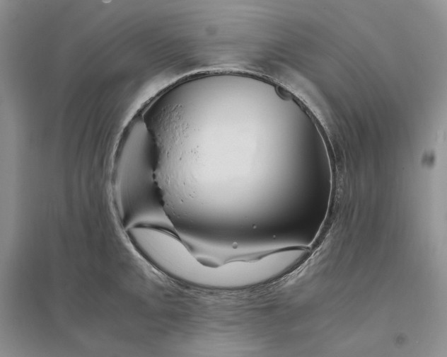 X0000094081093200711091209