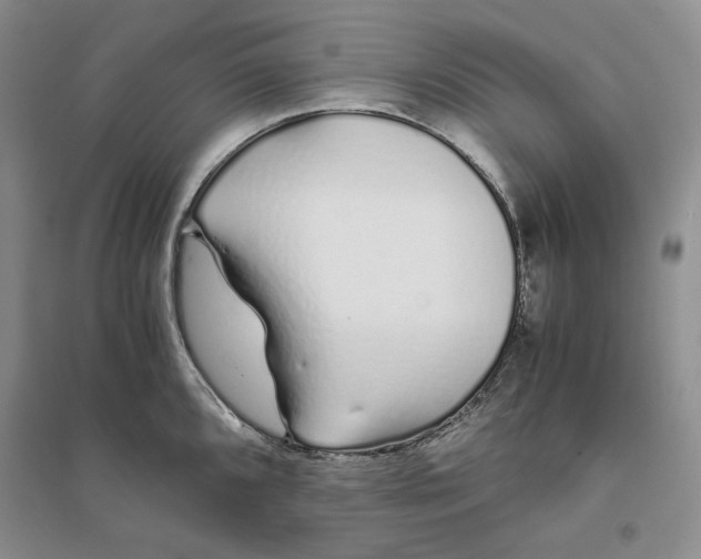 X0000094081096200711091209