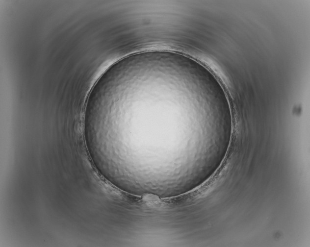 X0000094081097200711091209