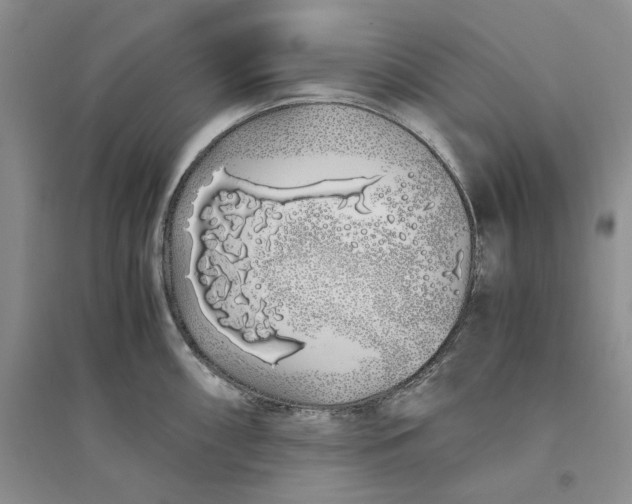 X0000094081098200711091209