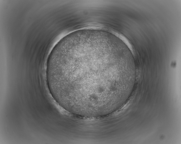 X0000094081099200711091209