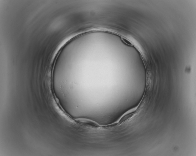 X0000094081100200711091209