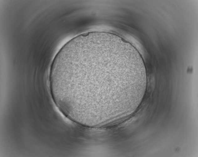 X0000094081103200711091209