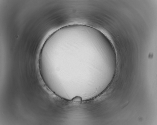 X0000094081104200711091209