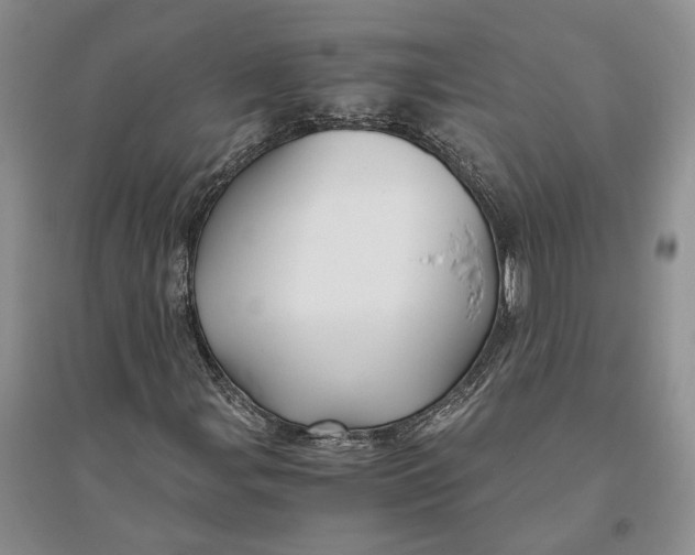 X0000094081107200711091208