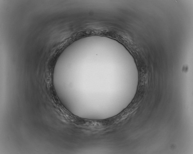 X0000094081109200711091208