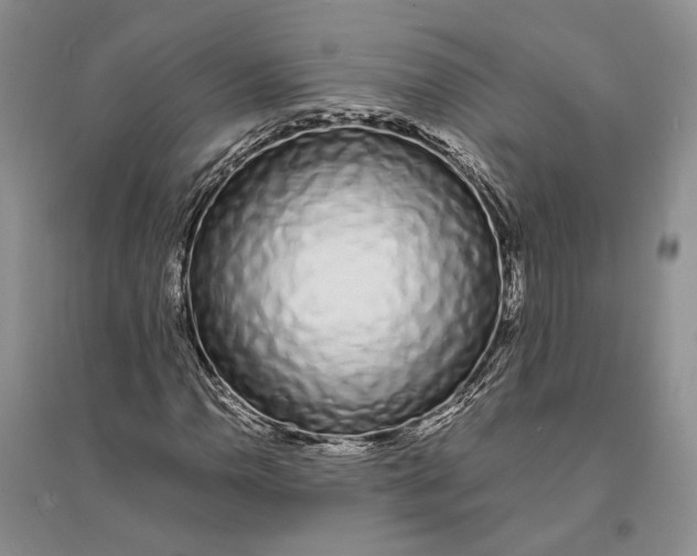 X0000094081110200711091208