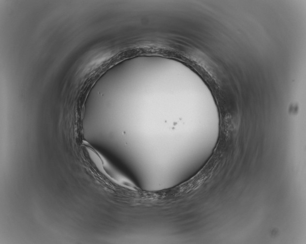 X0000094081111200711091208