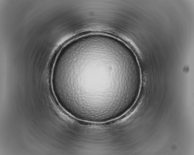 X0000094081114200711091208