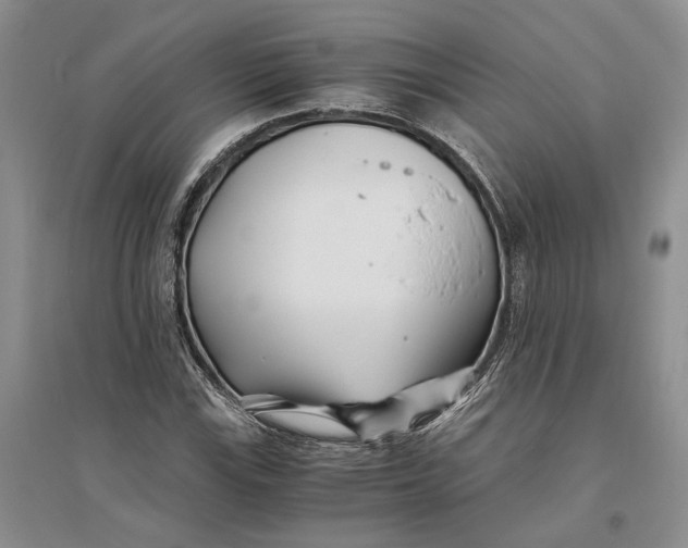 X0000094081115200711091209