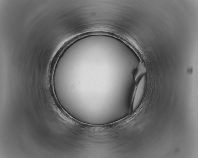 X0000094081116200711091209