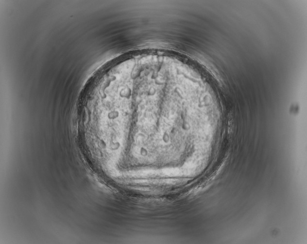 X0000094081117200711091209