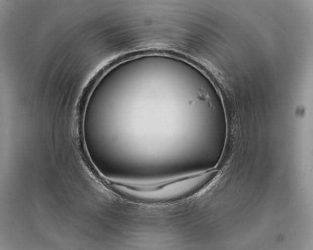 X0000094081118200711091209