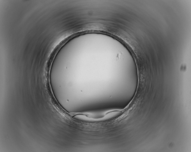 X0000094081119200711091209
