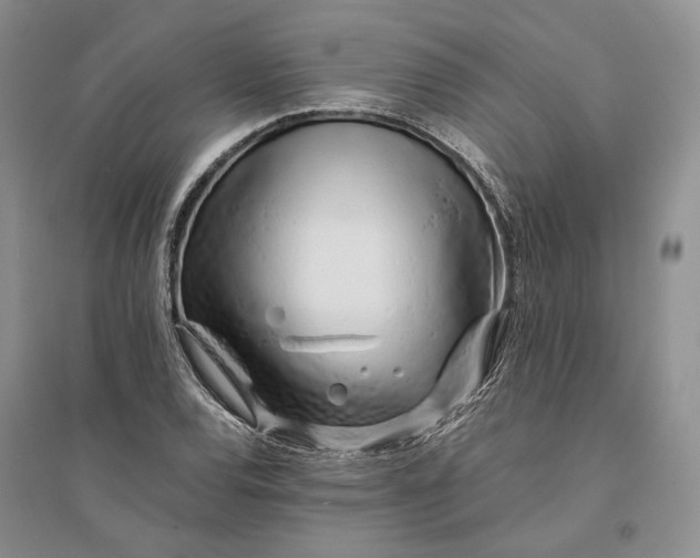 X0000094081120200711091209