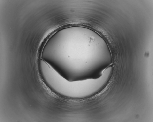 X0000094081122200711091209