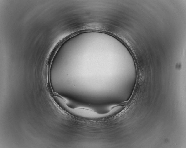 X0000094081123200711091209