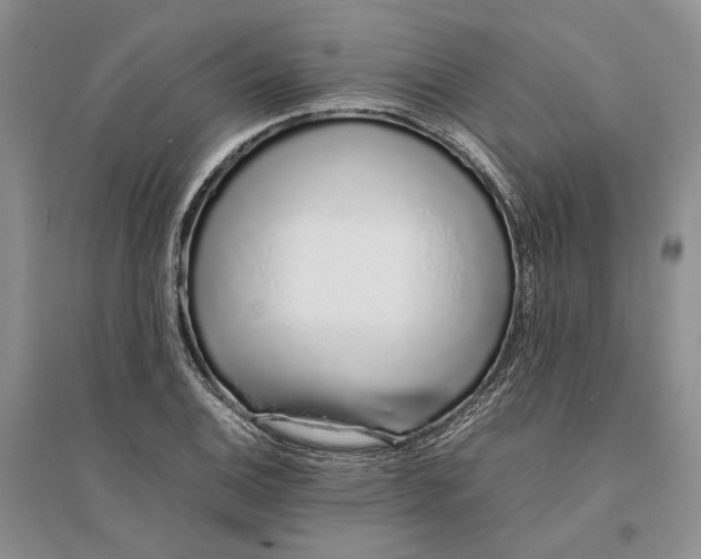 X0000094081124200711091209