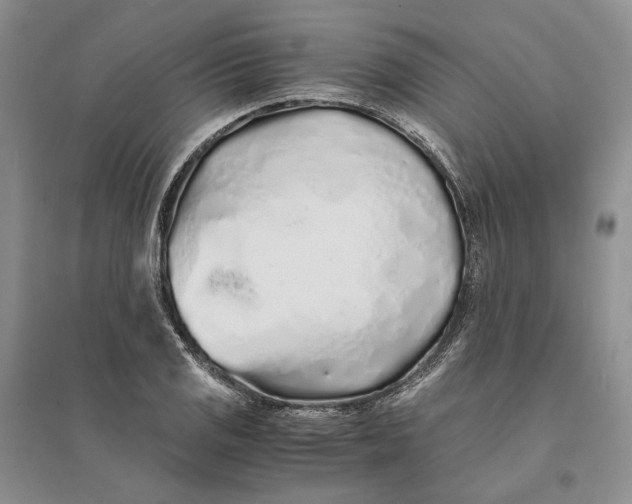X0000094081125200711091209