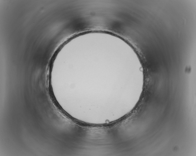 X0000094081126200711091209