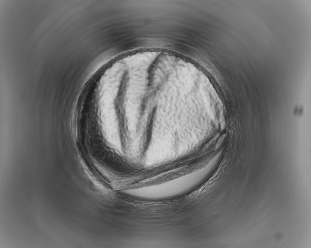 X0000094081127200711091209