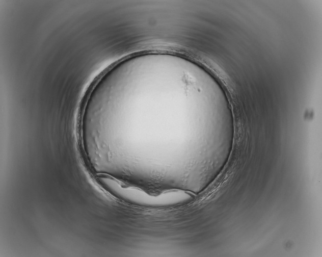 X0000094081128200711091209