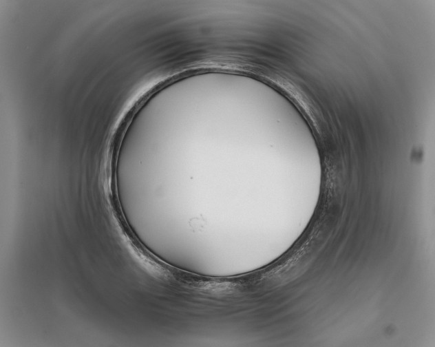 X0000094081131200711091209