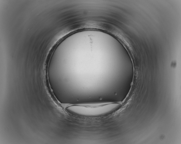X0000094081133200711091209