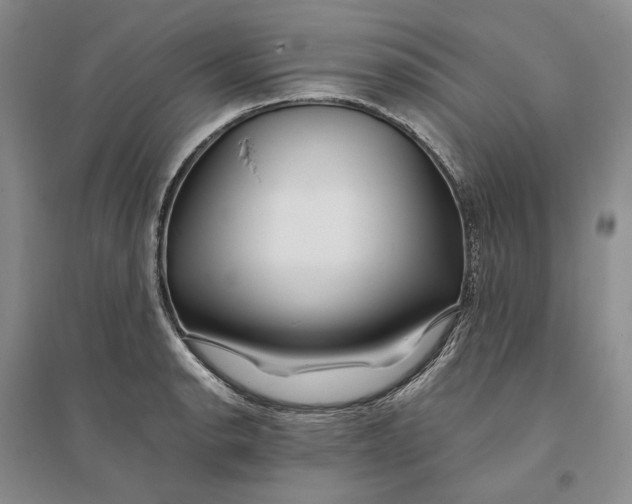 X0000094081134200711091209
