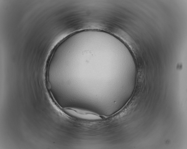 X0000094081135200711091209