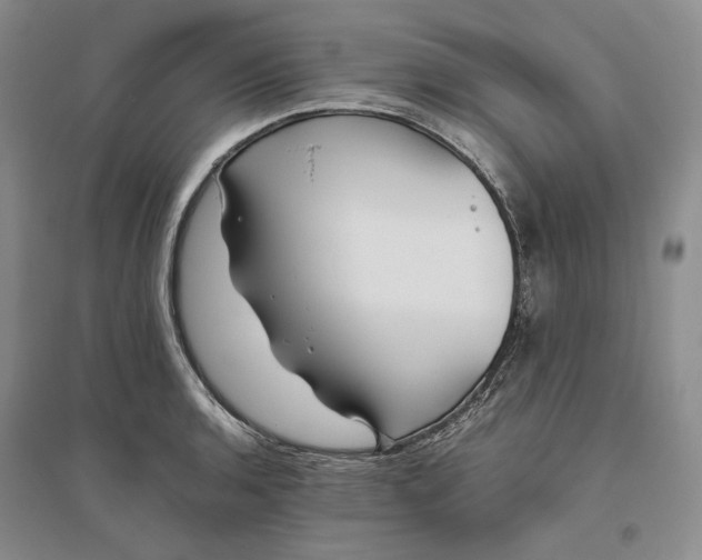 X0000094081136200711091209