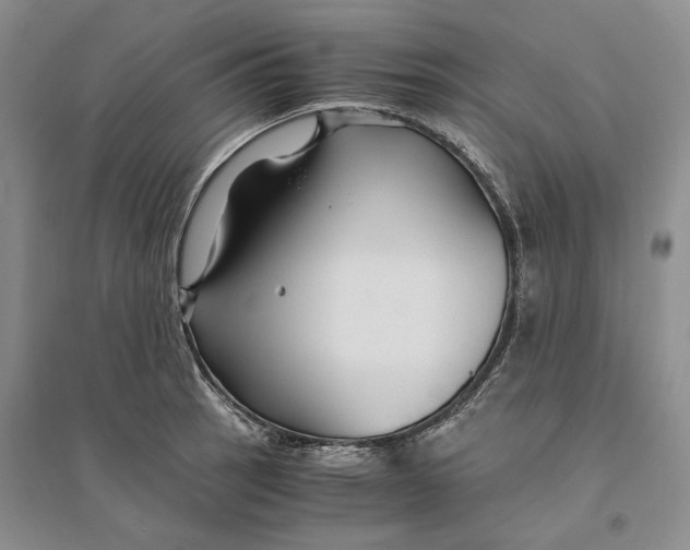 X0000094081137200711091209