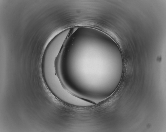 X0000094081138200711091209