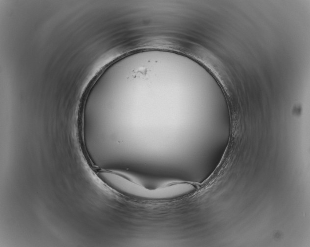 X0000094081139200711091209