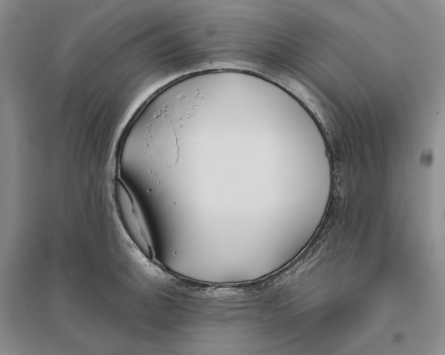 X0000094081140200711091209