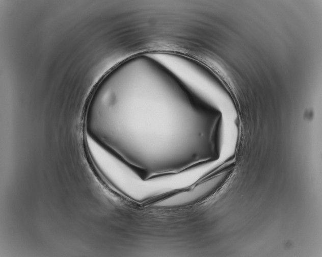 X0000094081141200711091209
