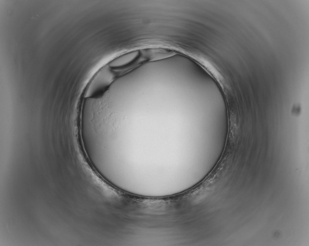X0000094081142200711091209