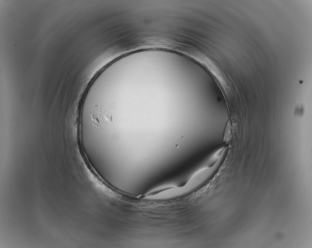 X0000094081143200711091209
