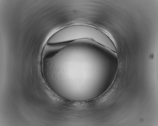 X0000094081146200711091209