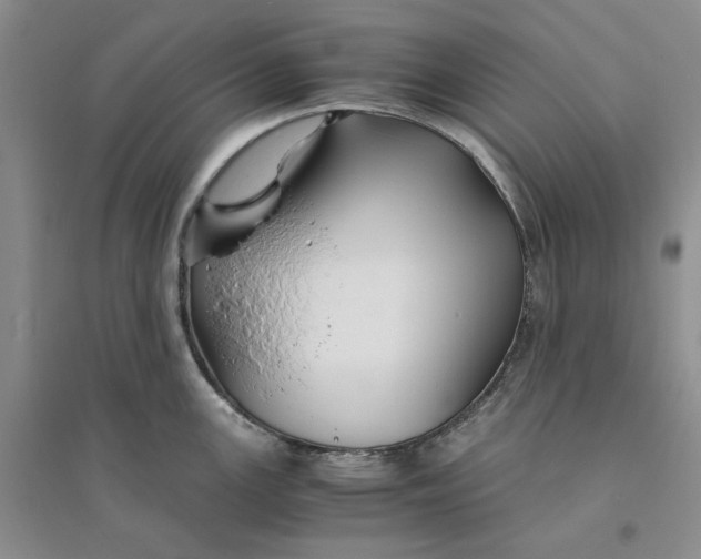 X0000094081147200711091209
