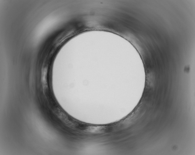X0000094081150200711091209