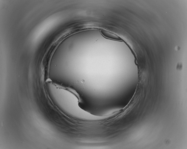 X0000094081151200711091209