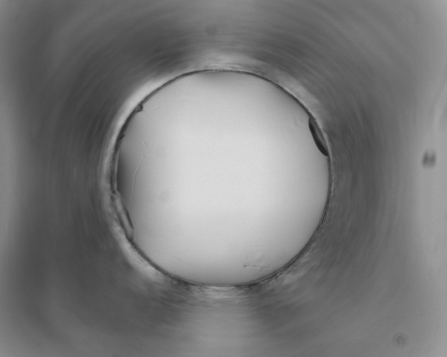 X0000094081152200711091209