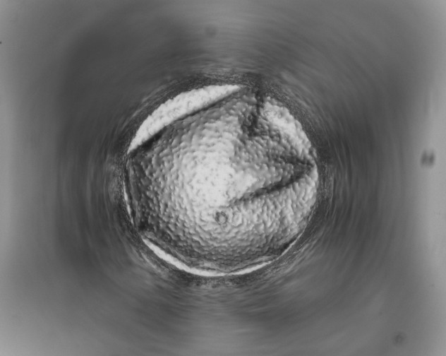 X0000094081154200711091208