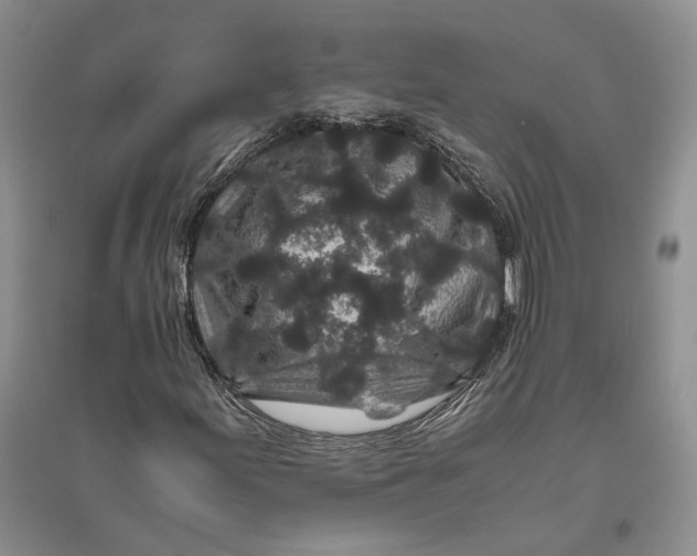 X0000094081155200711091208