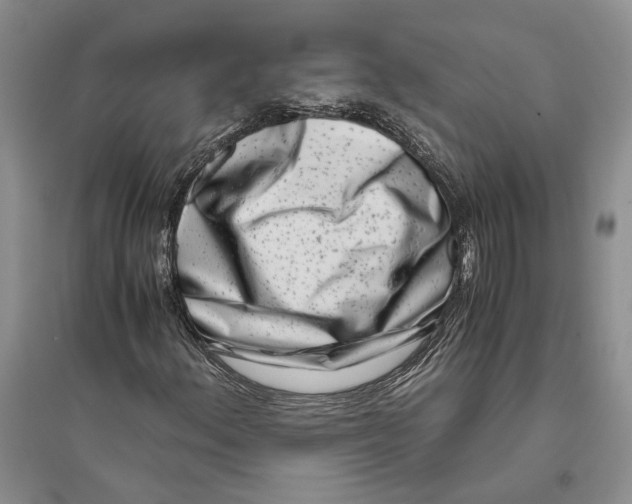 X0000094081156200711091208