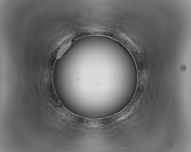 X0000094081157200711091208